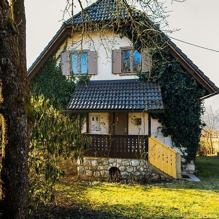 Magical Family Home 84 ボーヒニ エクステリア 写真