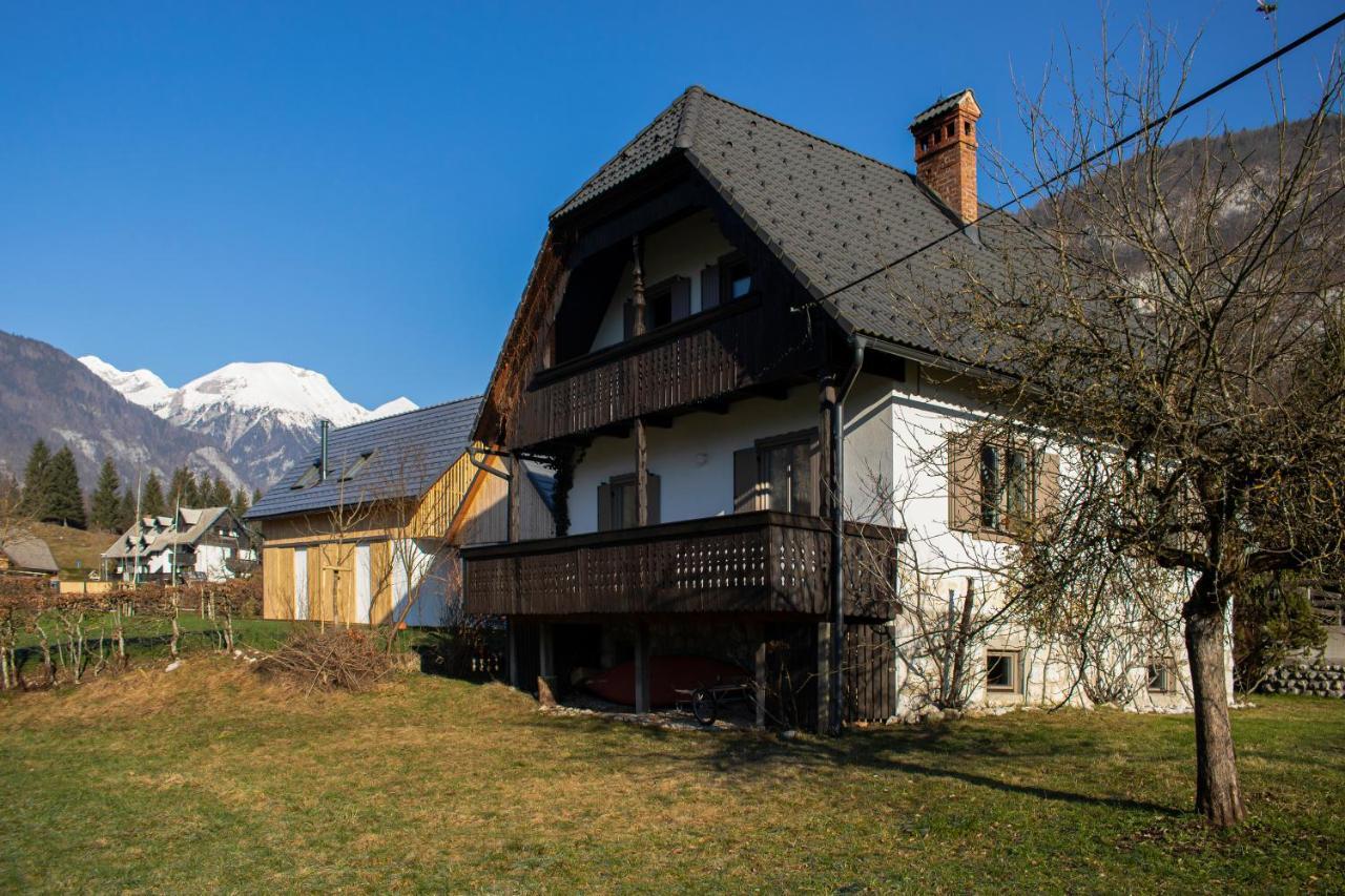 Magical Family Home 84 ボーヒニ エクステリア 写真