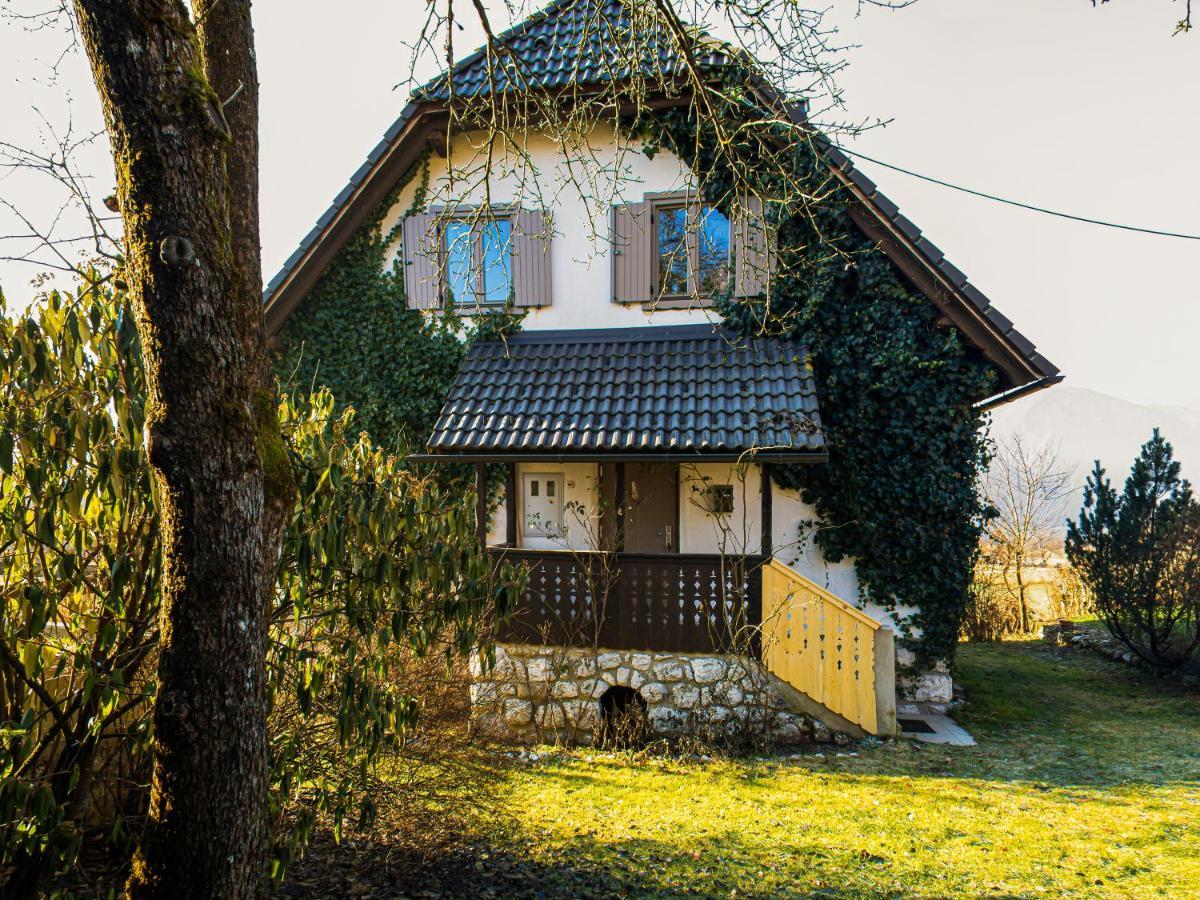 Magical Family Home 84 ボーヒニ エクステリア 写真