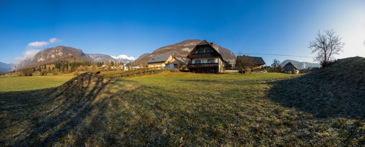 Magical Family Home 84 ボーヒニ エクステリア 写真