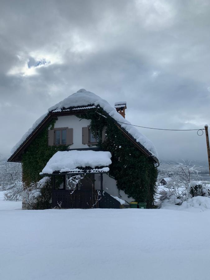 Magical Family Home 84 ボーヒニ エクステリア 写真